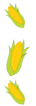 corn